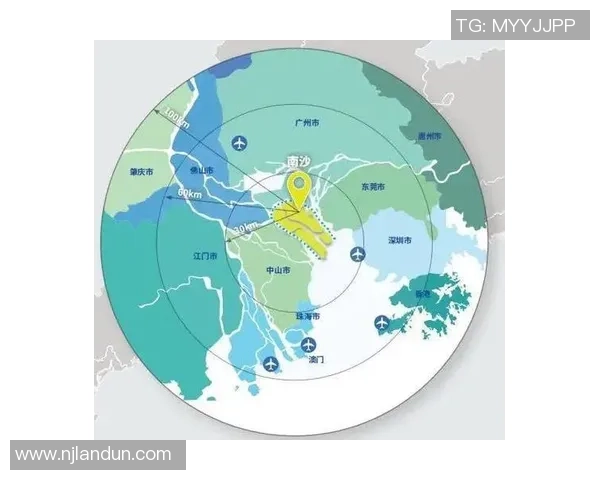 深圳乒乓球队整体压制表现分析与未来发展方向探讨