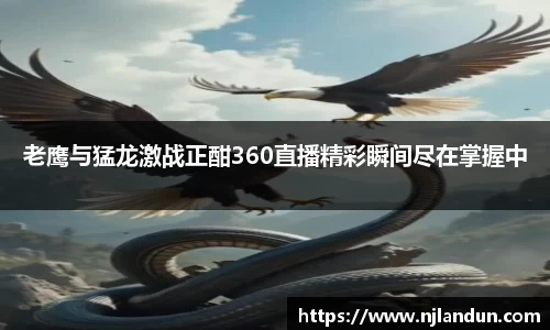 JJB竞技宝官网