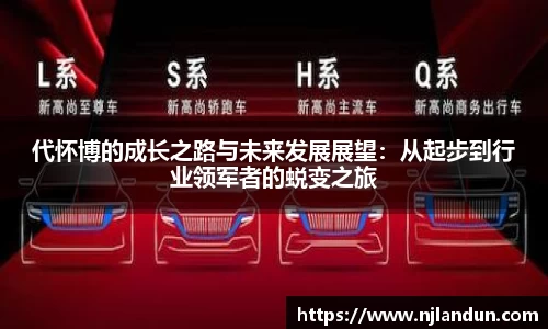 代怀博的成长之路与未来发展展望：从起步到行业领军者的蜕变之旅