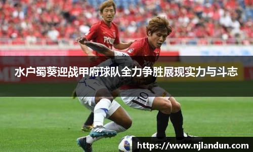 JJB竞技宝官网